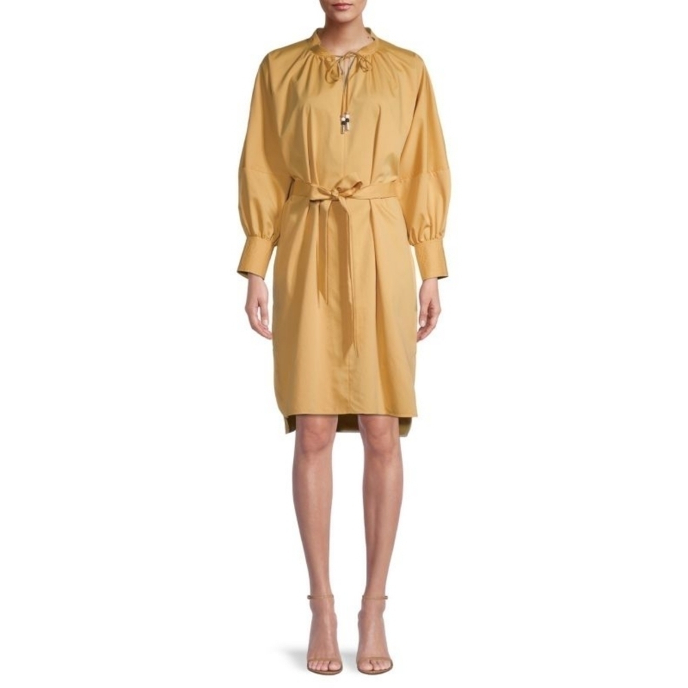 Boss Dapera Poplin Sheath Dress